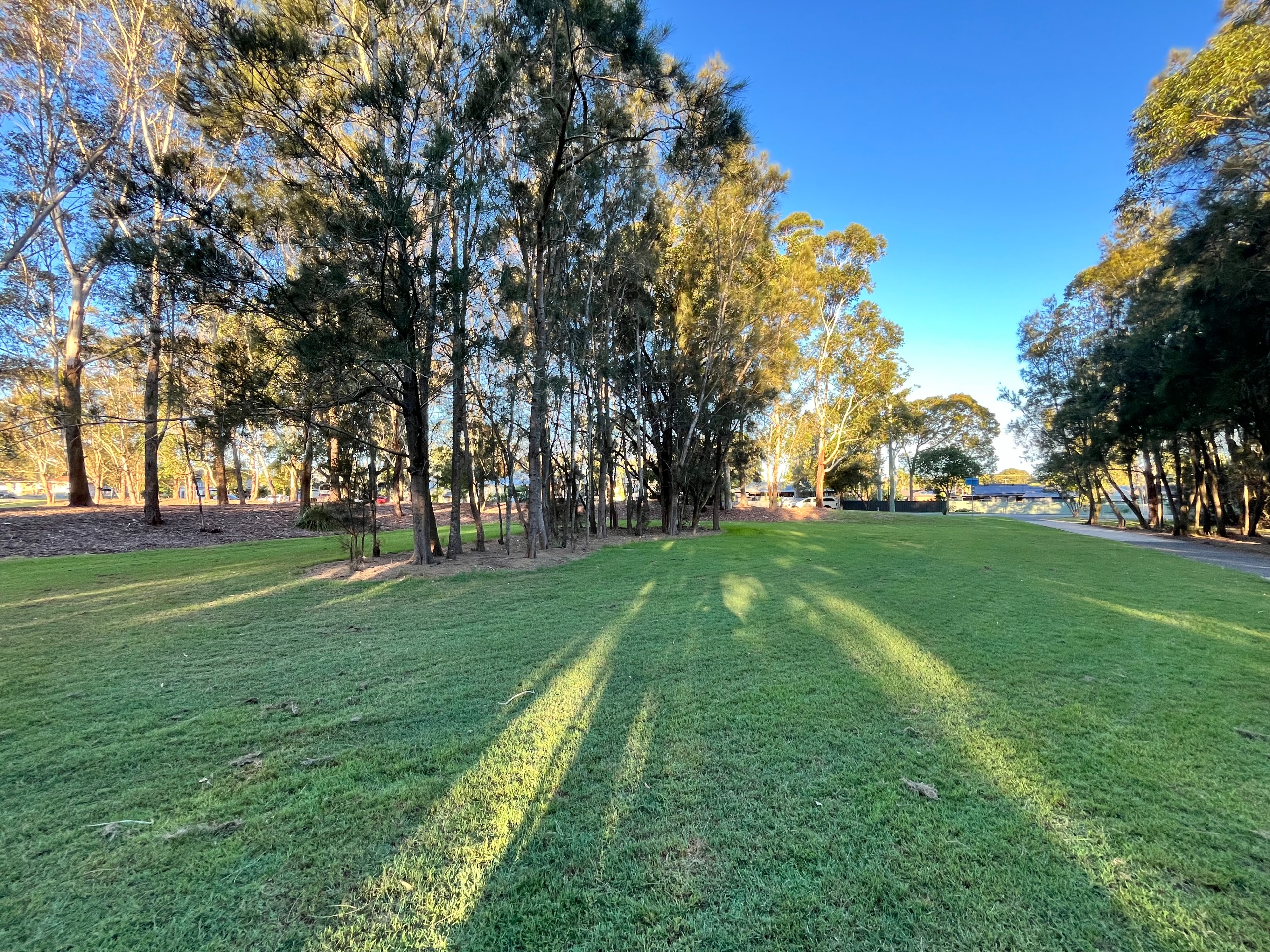 New location of dog park 