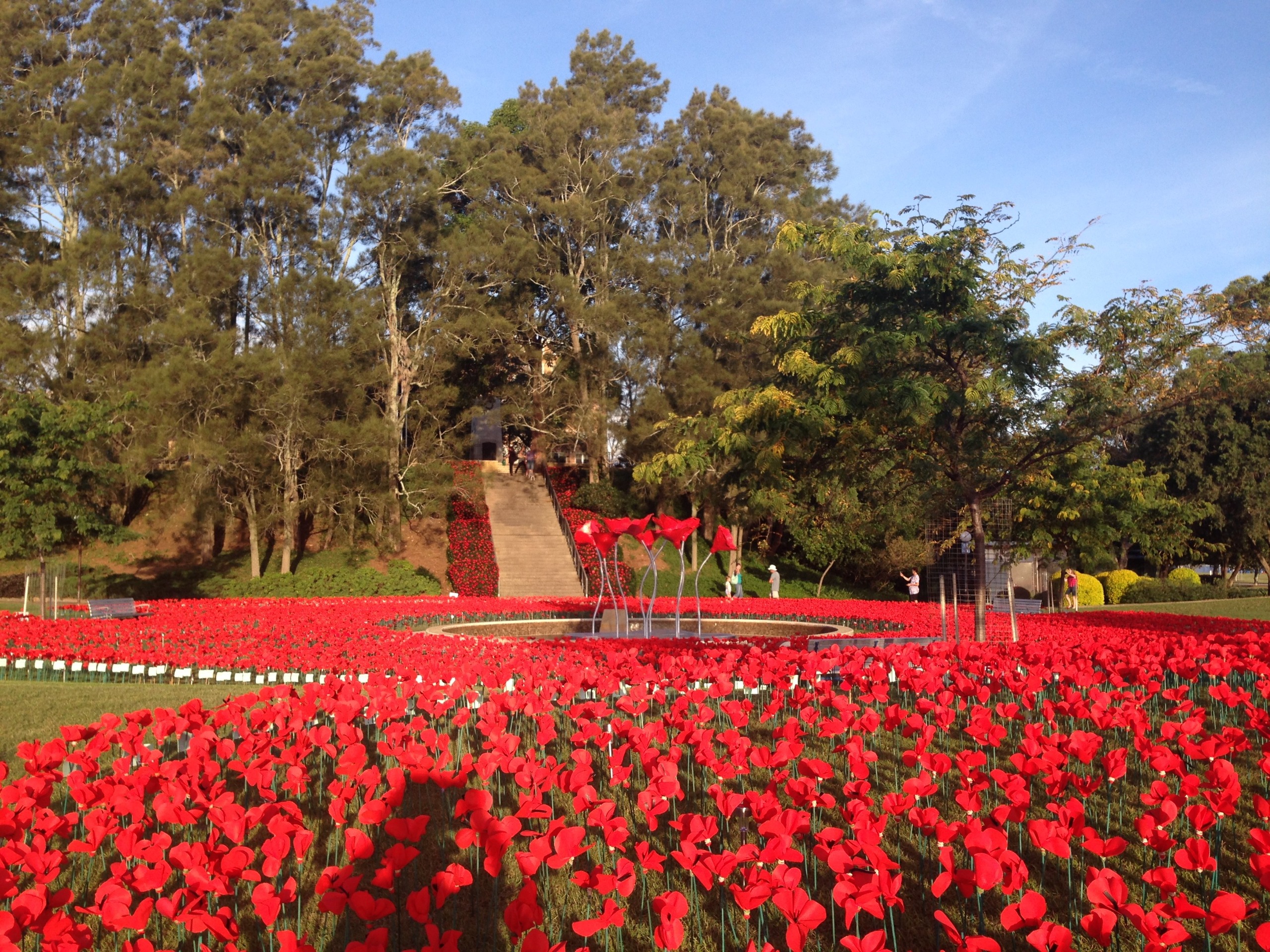 a park covered in handmade poppies, with a memorial fountain containing large poppies standing tall. 